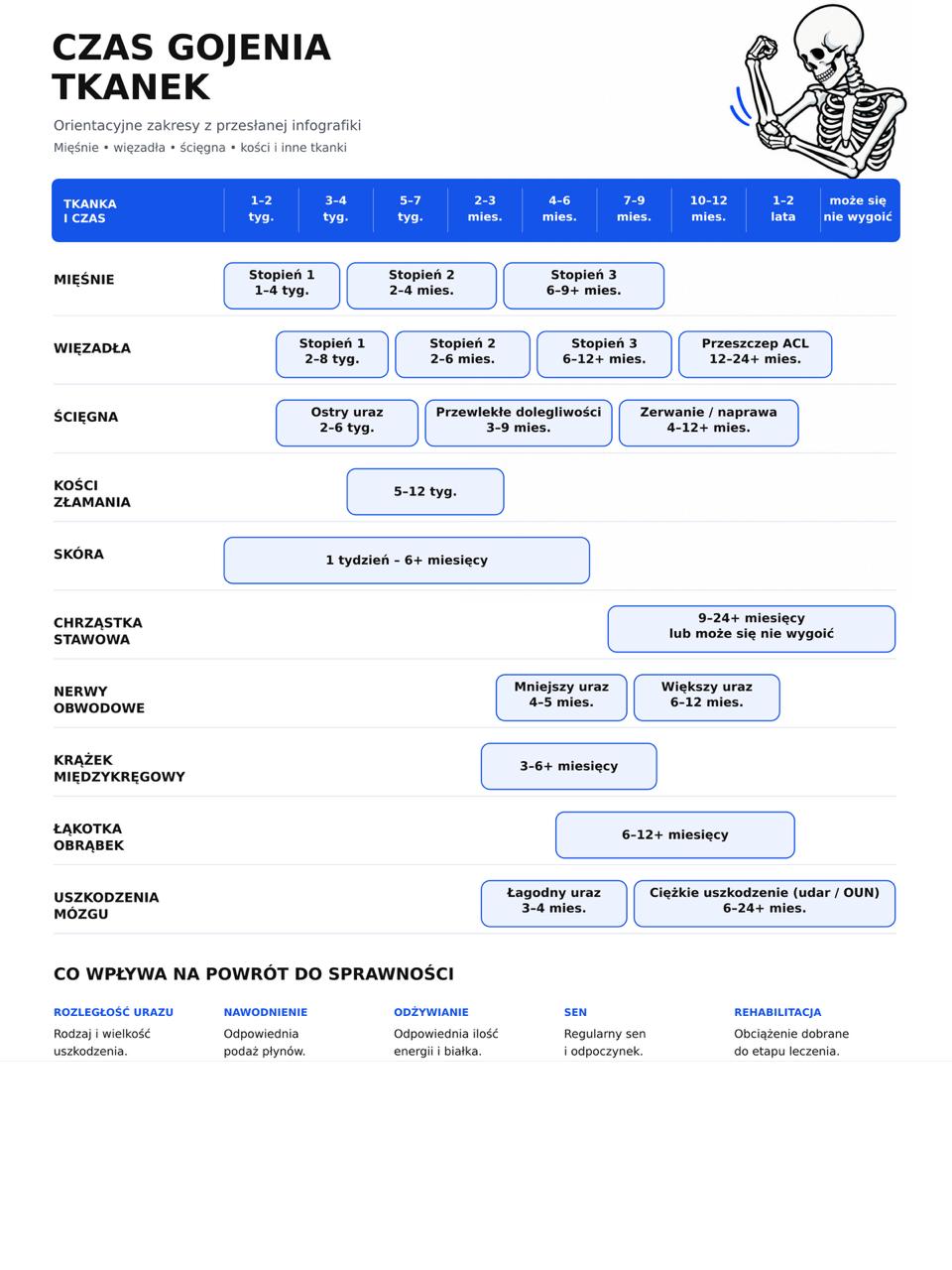 Infografika: orientacyjny czas gojenia tkanek