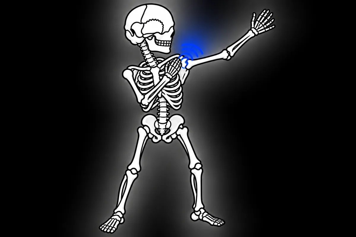 Ilustracja kościotrupa do tematu Zespół stożka rotatorów i ból barku podczas ruchu